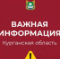 b_250_250_16777215_00_images_Uwh1iv7wCAk.jpg - Администрация Далматовского Района