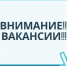 Приглашаем на работу. - Далматовский муниципальный округ